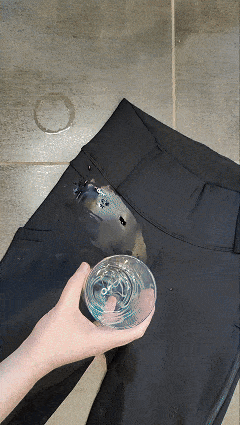0116-Kopie_1.gif