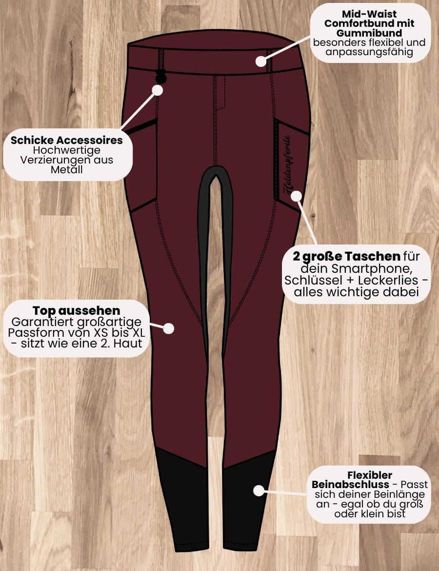 Heldenpferde_Reitleggings_Kunstwildleder_Donnerhall_V3_Comic_2.jpg